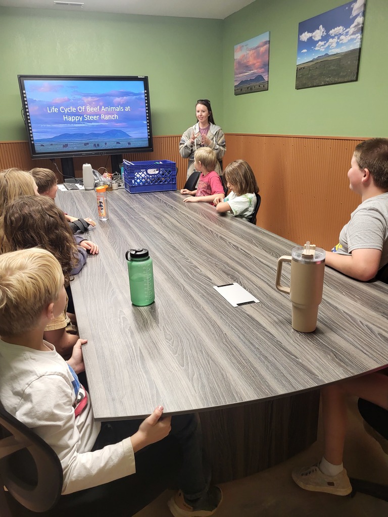 Live Feed Sunburst Schools