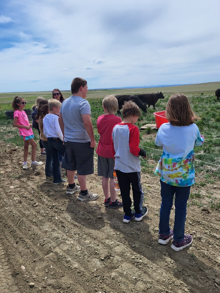 Live Feed Sunburst Schools